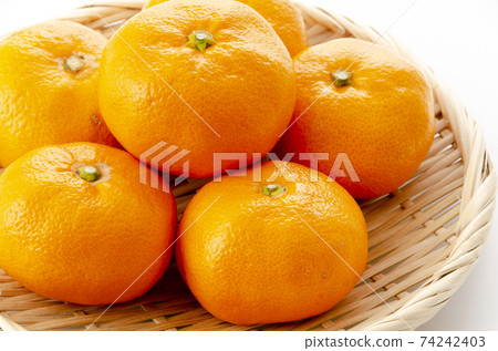 Wenzhou oranges 74242403