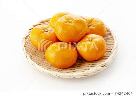 Wenzhou oranges 74242404