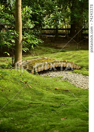 The streets of Kyoto 74243378