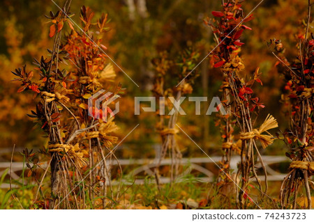 Winter enclosure 74243723