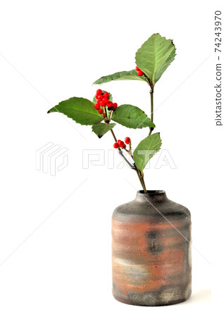 Sarcandra glabra and Bizen ware 74243970