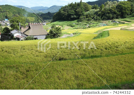 Rice terrace of Nose Valley Nagatani Rice terrace of Nose Valley Nagatani 74244332