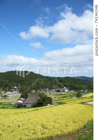 Rice terrace of Nose Valley Nagatani Rice terrace of Nose Valley Nagatani 74244346