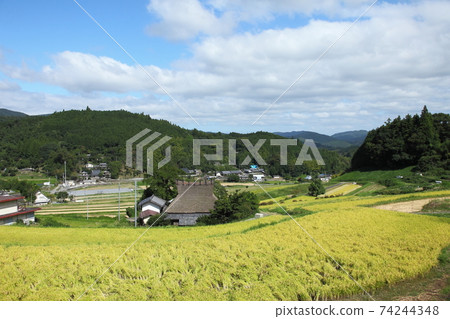 Rice terrace of Nose Valley Nagatani Rice terrace of Nose Valley Nagatani 74244348