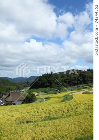 Rice terrace of Nose Valley Nagatani Rice terrace of Nose Valley Nagatani 74244352