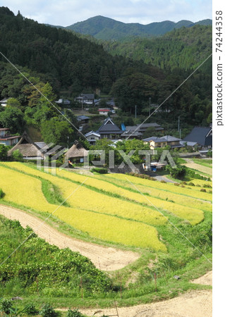 Rice terrace of Nose Valley Nagatani Rice terrace of Nose Valley Nagatani 74244358