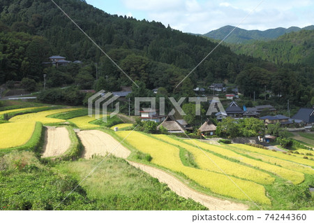 Rice terrace of Nose Valley Nagatani Rice terrace of Nose Valley Nagatani 74244360