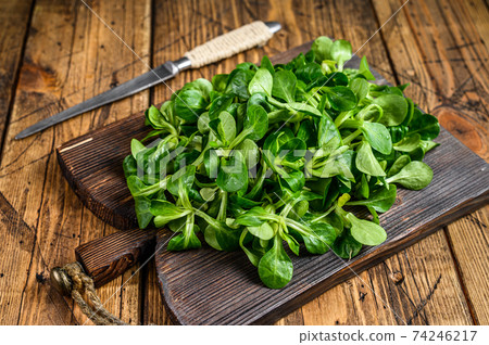 Fresh Raw green lambs lettuce Corn salad leaves on a wooden cutting board. wooden background. Top view Fresh Raw green lambs lettuce Corn salad leaves on a wooden cutting board. wooden background. Top view 74246217