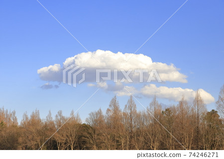 Cumulus (cotton cloud) Cumulus (cotton cloud) 74246271