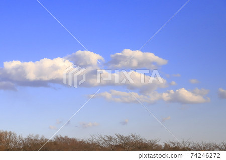 Cumulus (cotton cloud) Cumulus (cotton cloud) 74246272