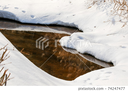 雪，冬，北海道的冬天，公園，積雪，自然，北海道，日本，北部國家，雪國，雪景 74247477