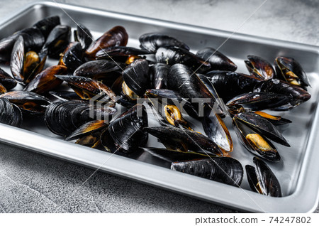 Seafood fresh blue mussels in kitchen steel tray. White background. Top view Seafood fresh blue mussels in kitchen steel tray. White background. Top view 74247802