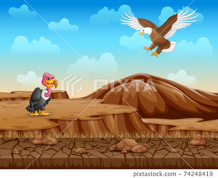 Desert Eagle Stock Illustration