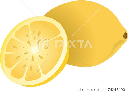 Yellow lemon. Vector illustration isolated on white background. Yellow lemon. Vector illustration isolated on white background. 74248490