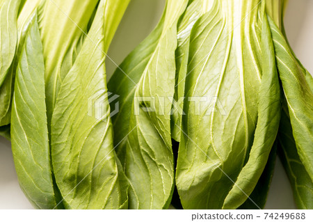 白菜。 74249688