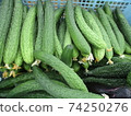 Cucumber 74250276