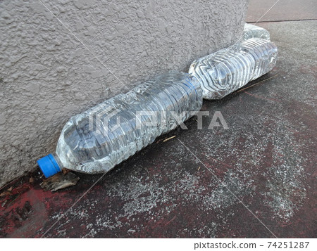 帶有水的PET瓶,可保護貓免受路邊傷害 帶有水的PET瓶,可保護貓免受路邊傷害 74251287