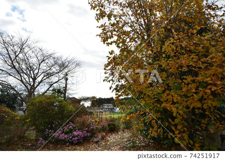 我們的花園景色2020-11-22#5 我們的花園景色2020-11-22#5 74251917