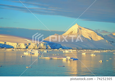 Icebergs and ice floes reflect sunlight, giving them a golden appearance. Icebergs and ice floes reflect sunlight, giving them a golden appearance. 74252305