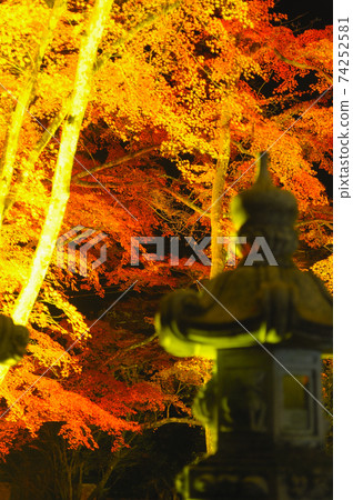 廣島縣三原市佛寺附近的秋葉(照亮) 廣島縣三原市佛寺附近的秋葉(照亮) 74252581