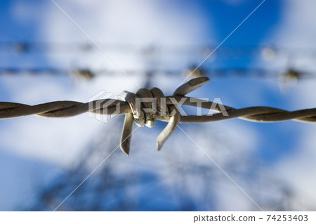 Autumn fragrance Kanagi 犀 74253403