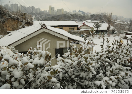 正陵谷、長德台、雪景、胡同 正陵谷、長德台、雪景、胡同 74253975