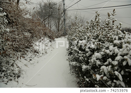 正陵谷、長德台、雪景、胡同 74253976