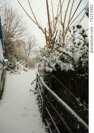 Jeongneunggol. Jangdokdae. Snow scene. Alley 74253982