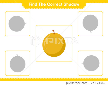 Find the correct shadow. Find and match the correct shadow of Honey Melon. Educational children game, printable worksheet, vector illustration 74254362