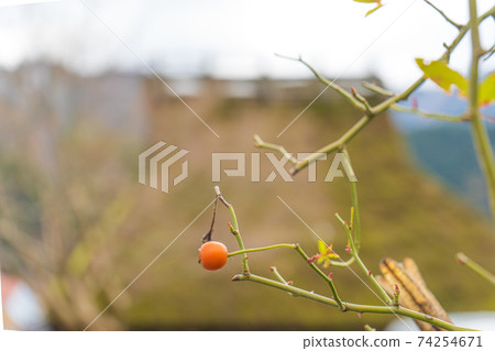 Late autumn hometown 74254671
