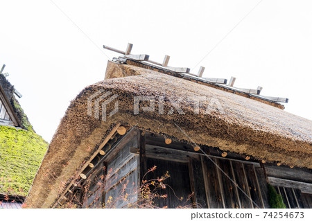 Thatched roof 74254673