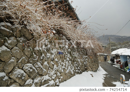 正陵溝,雪,松樹,胡同,樓梯 正陵溝,雪,松樹,胡同,樓梯 74254714
