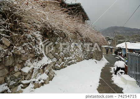 正陵溝,雪,松樹,胡同,樓梯 正陵溝,雪,松樹,胡同,樓梯 74254715