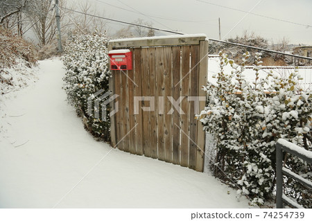 正陵溝,雪,松樹,胡同,樓梯 正陵溝,雪,松樹,胡同,樓梯 74254739