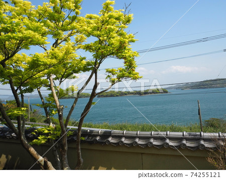 新鮮的綠色景觀 新鮮的綠色景觀 74255121
