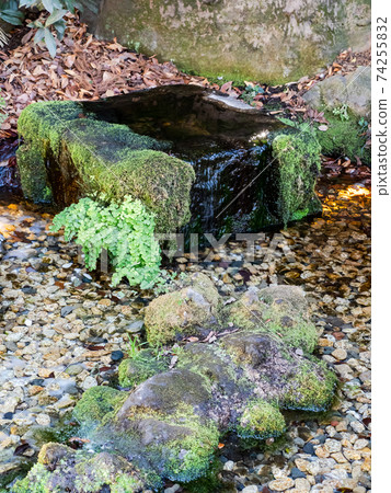 A tasteful view of Koedo Kawagoe, the pure spring water of a historic shrine and temple 74255832