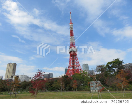 從芝公園看到的東京塔 從芝公園看到的東京塔 74256705