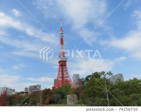 從芝公園看到的東京塔 從芝公園看到的東京塔 74256710