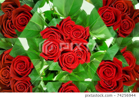Red rose, kaleidoscope 2 74256944