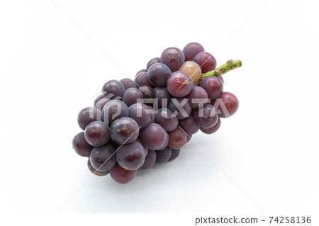 葡萄 74258136