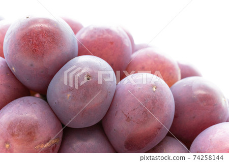 Grape  74258144