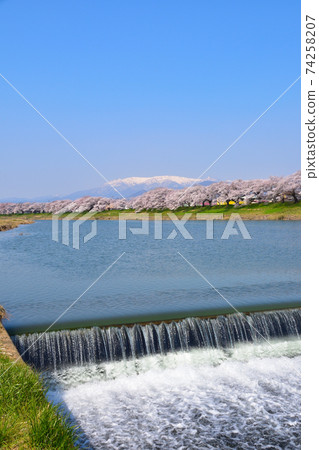 櫻井白石河Na神水壩 74258207