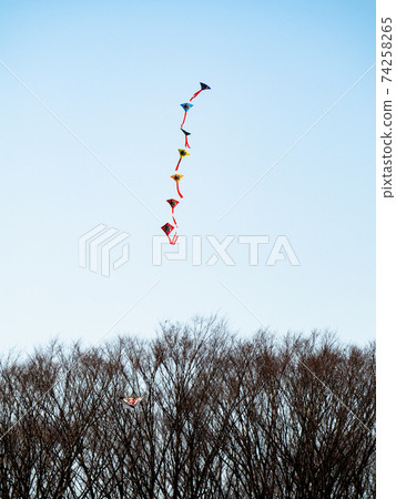 新年的傳統：風箏在晴朗的冬日里升起 74258265