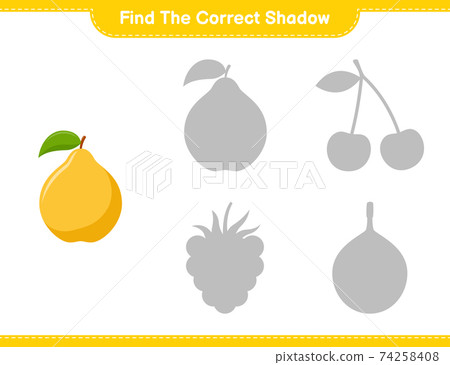 Find the correct shadow. Find and match the correct shadow of Quince. Educational children game, printable worksheet, vector illustration 74258408