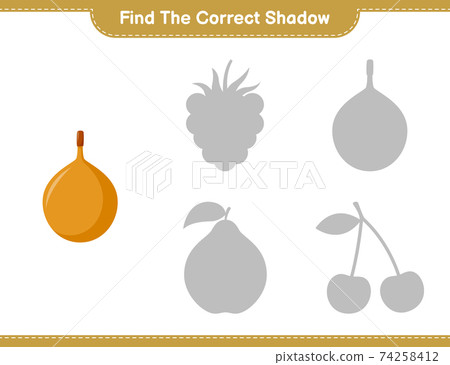Find the correct shadow. Find and match the correct shadow of Voavanga. Educational children game, printable worksheet, vector illustration 74258412