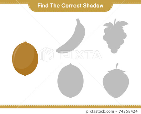 Find the correct shadow. Find and match the correct shadow of Kiwi. Educational children game, printable worksheet, vector illustration 74258424