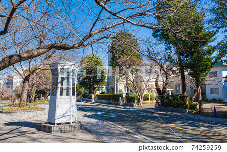 The streets of Yamate where Western-style buildings are lined up in Yokohama The streets of Yamate where Western-style buildings are lined up in Yokohama 74259259