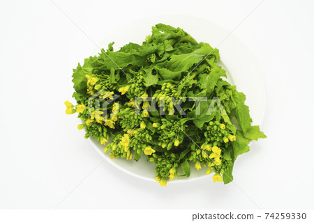 Rape blossoms Nabana Ingredients Flowers Food Spring Raw Fresh Fresh 74259330