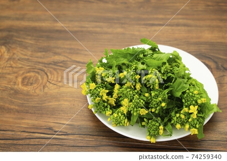 Rape blossoms Nabana Ingredients Flowers Food Spring Raw Fresh Fresh 74259340