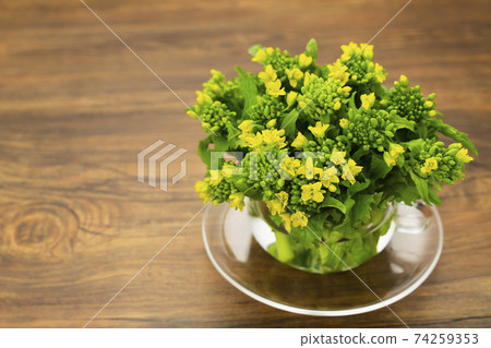 Rape blossoms Nabana Ingredients Flowers Food Spring Raw Fresh Fresh 74259353